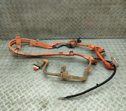 Lexus NX Other wiring loom 821H178021