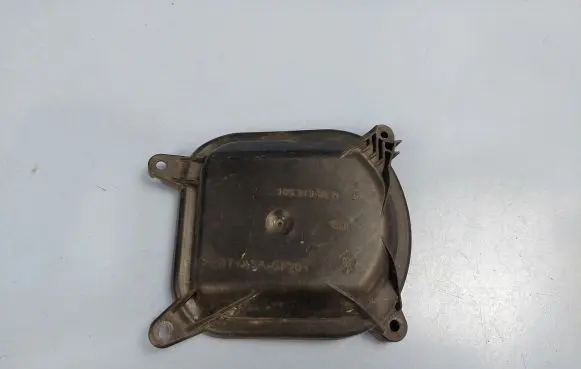 Headlight/headlamp dust cover