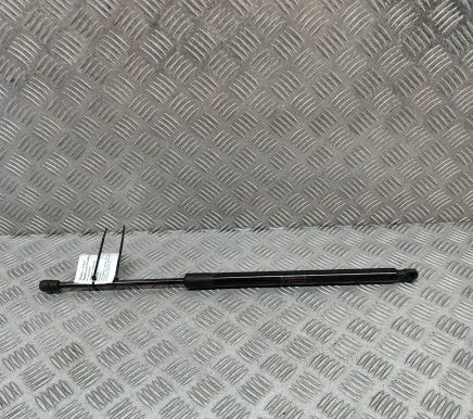 Tailgate/trunk strut/damper