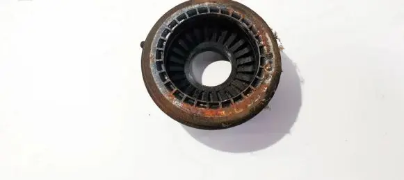 Coil spring mount
