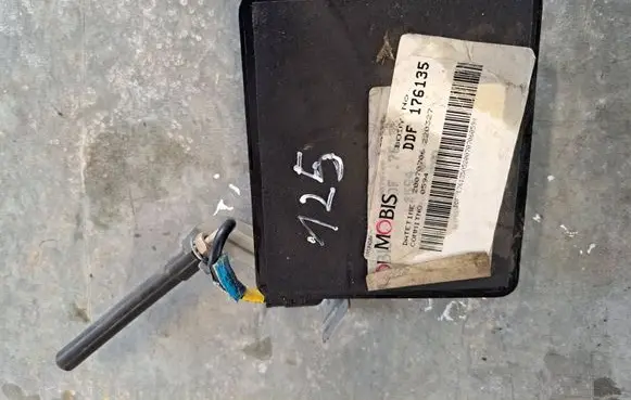 KIA Magentis Other control units/modules 954002G412 97RA010040 CFL1211