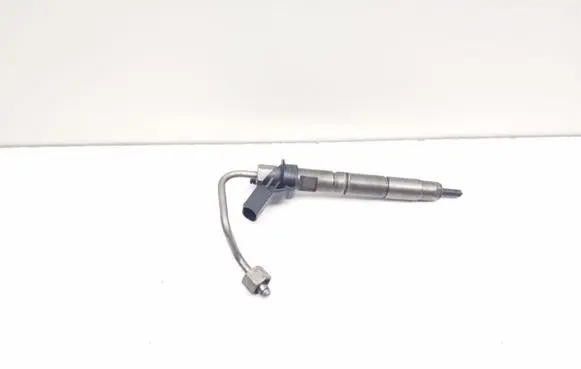 Mercedes-Benz CLS C219 Fuel injector A6420701987