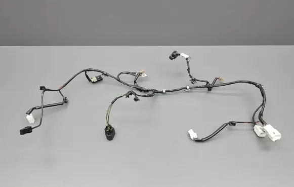 KIA Venga Tailgate/trunk wiring harness 10629026 916801P010