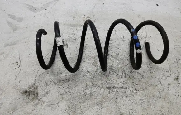 Front coil spring