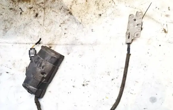 Tailgate/trunk/boot lift motor