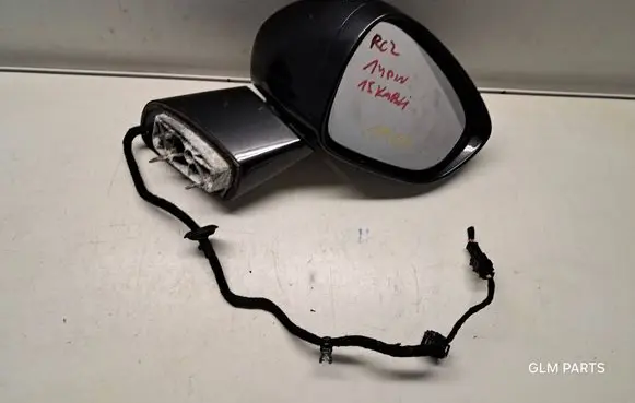 Front door electric wing mirror
