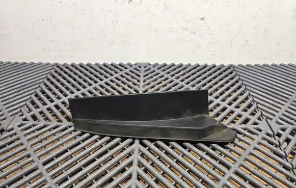 Rear/tail light trim molding