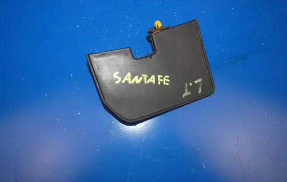 Hyundai Grand Santa Fe NC Rear mudguard 