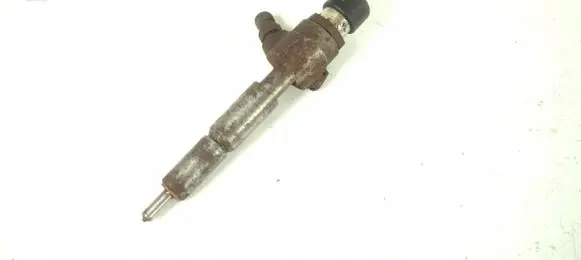 Ford Transit - Tourneo Connect Fuel injector 7T1Q-9F593-AB