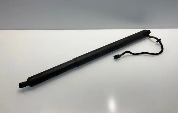 Tailgate/trunk strut/damper