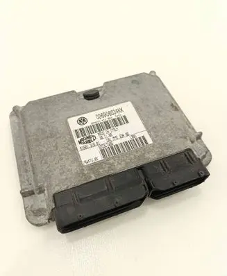 Seat Ibiza III (6L) Engine control unit/module 036906034KK 6160131801 5D53LTRBG