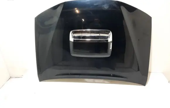 Toyota Hilux (AN10, AN20, AN30) Engine bonnet/hood