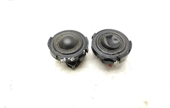 Renault Laguna III Front door high frequency speaker 281480003R T193035071