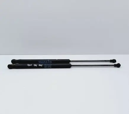 Tailgate/trunk strut/damper