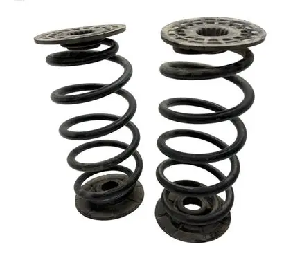 Rear coil spring