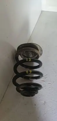 Rear coil spring