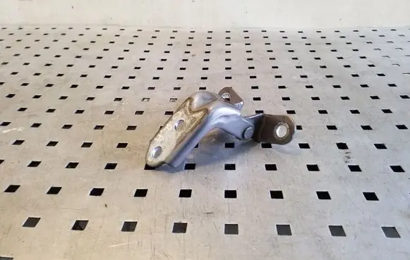 KIA Sportage Rear door lower hinge