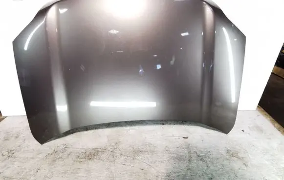 Engine bonnet/hood