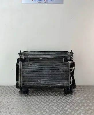 Opel Antara Radiator set F00S3D2021