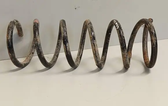 Rear coil spring