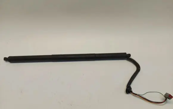 Tesla Model S Tailgate strut 6006610-00-b