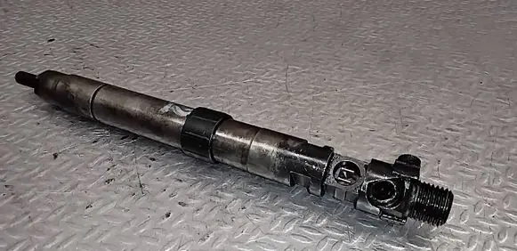 Citroen C5 Fuel injector 9686191080