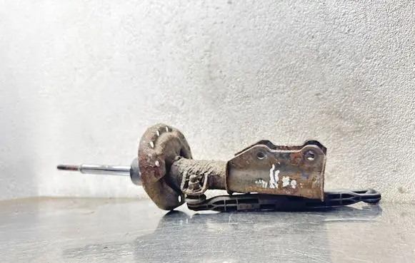 Opel Insignia A Front shock absorber/damper 13245977 E4612001 367327926