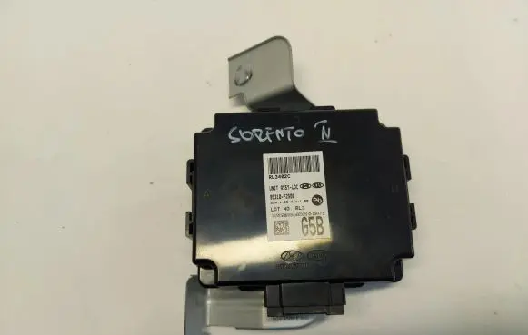 KIA Sorento IV Other control units/modules 95310-p2500