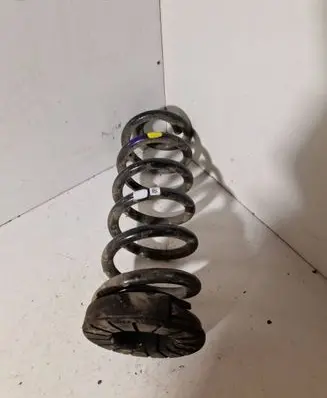 Rear coil spring