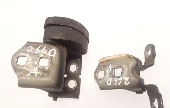 Renault Megane II Front door hinges set 