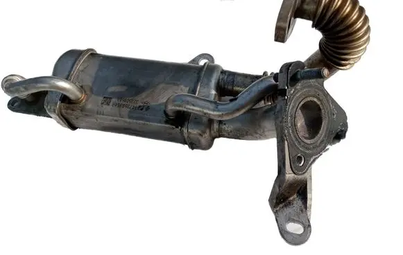 Nissan Juke I F15 EGR valve cooler bracket 147350364R
