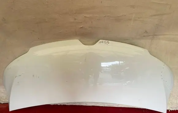 Renault Master IV Engine bonnet/hood 656169152R