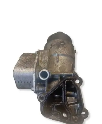 Hyundai ix20 Oil filter mounting bracket 264102A501