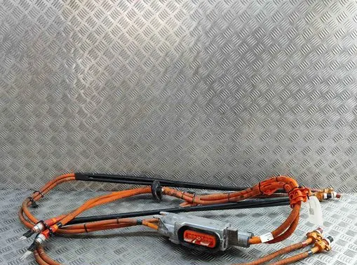 Tesla Model X Other wiring loom 150738621B