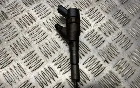 Peugeot 206 Fuel injector 9653594280