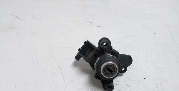 BMW 3 E46 Tailgate exterior lock 8196052