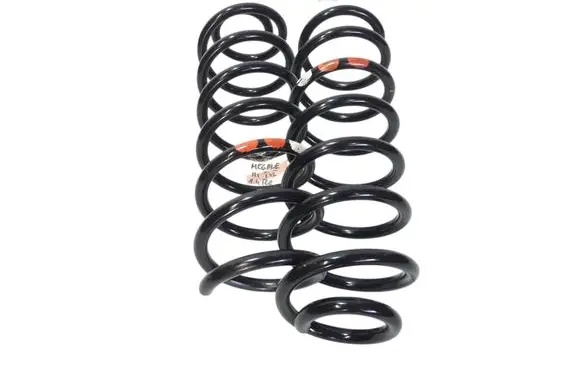 Rear coil spring