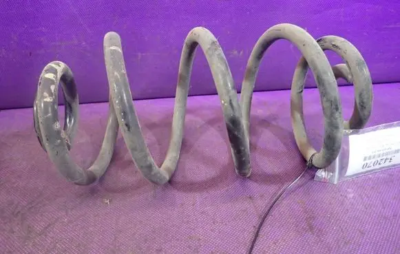 Rear coil spring