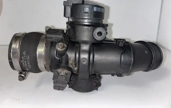 Citroen Berlingo Throttle valve 9689096280 25365223