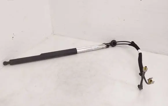 Tailgate/trunk strut/damper