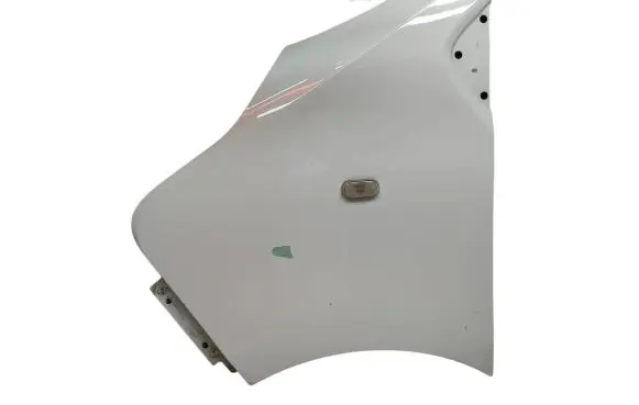 Renault Trafic III (X82) Fender