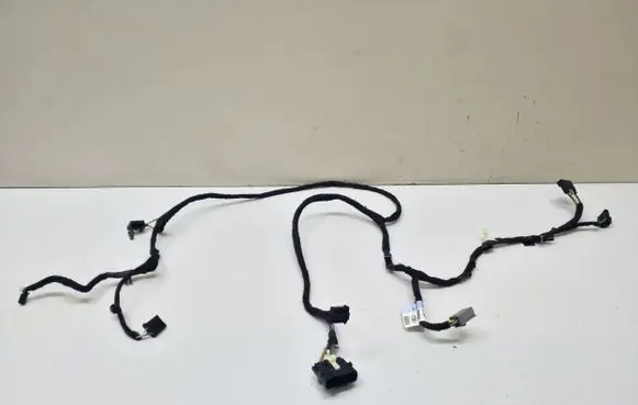 Ford Mustang VI Other wiring loom FR3T18B574BD