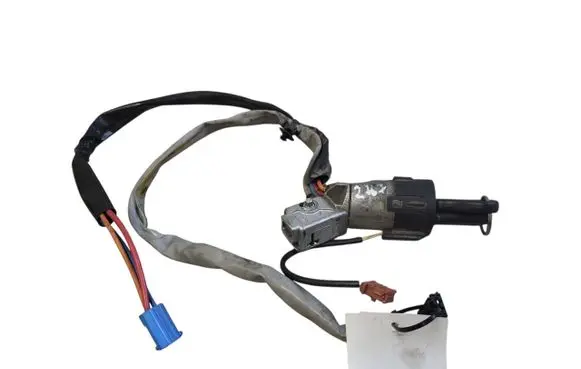 Citroen Berlingo Ignition lock 9663123280