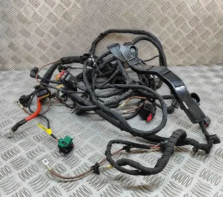 Cupra Born Other wiring loom 1EA971445 1EA971824A