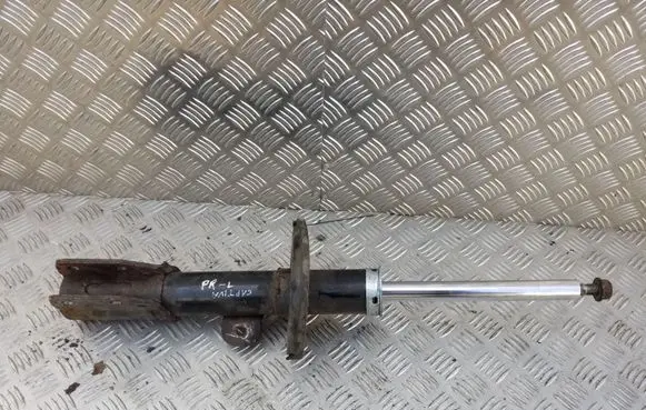 Chevrolet Captiva Front shock absorber/damper
