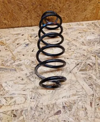 Rear coil spring