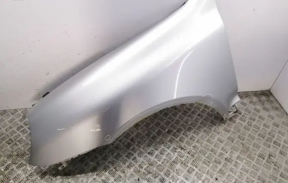 Porsche Cayenne (9PA) Fender