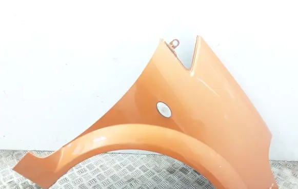 Citroen C3 Pluriel Fender