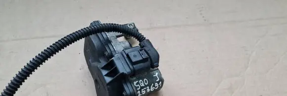 Throttle body valve
