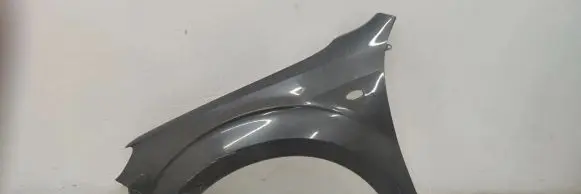 Subaru Forester SH Fender 5905232355698 K290523